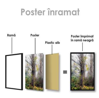 Poster - Copac de toamnă, 60 x 90 см, Poster inramat pe sticla