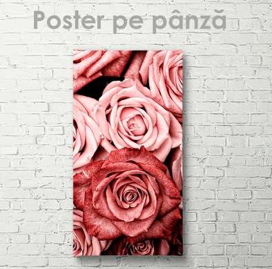 Poster - Trandafiri, 30 x 60 см, Panza pe cadru, Flori