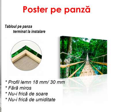 Poster - Wooden bridge along the green forest, 90 x 60 см, Framed poster, Nature