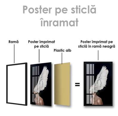 Poster - Aripa, 60 x 90 см, Poster inramat pe sticla