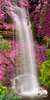 Фотообои - Водопад в парке с розовыми деревьями.