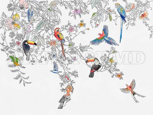 Wall mural - Exotic birds on the branches