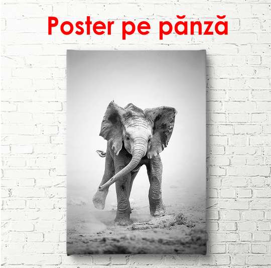 Постер - Маленький слоненок, 30 x 60 см, Холст на подрамнике