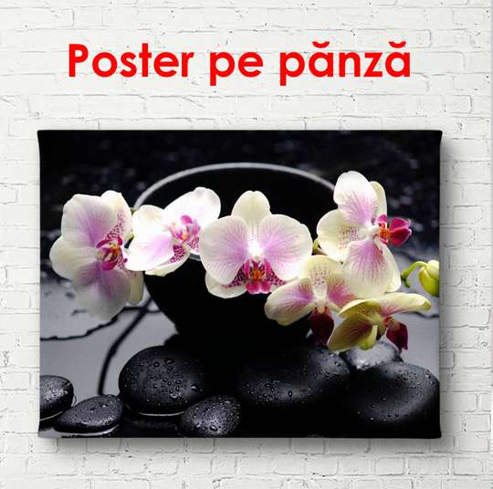 Постер - Нежные розовые орхидеи на черном камне, 90 x 60 см, Постер в раме, Цветы