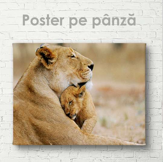 Poster, Lion cub with mom, 45 x 30 см, Canvas on frame, Animals