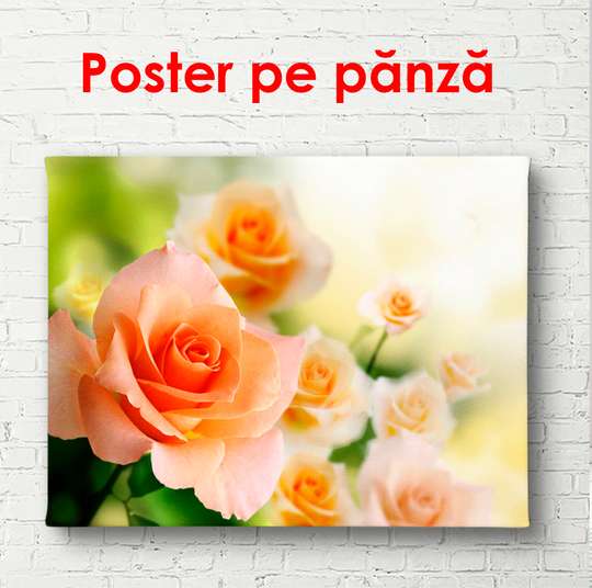Poster - Tufa de trandafiri portocalii, 90 x 60 см, Poster înrămat