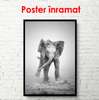 Постер - Маленький слоненок, 30 x 60 см, Холст на подрамнике, Черно Белые
